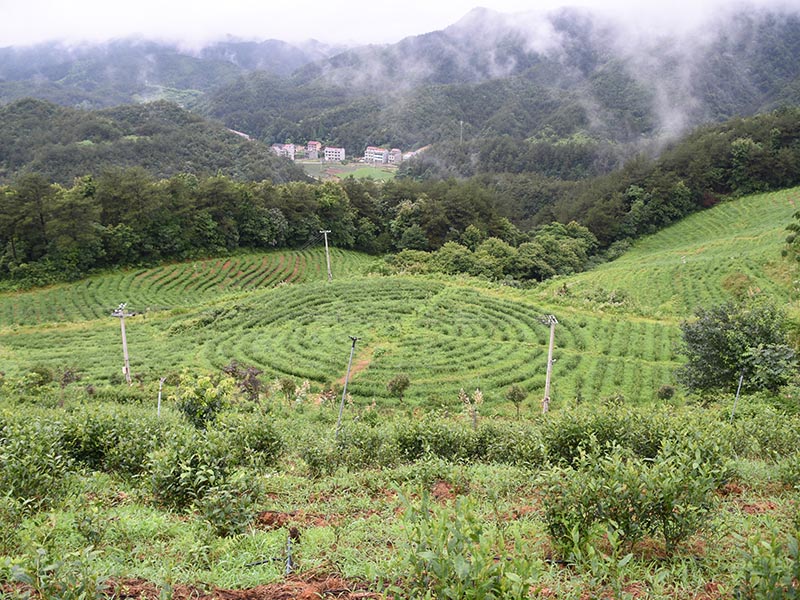 深圳基地照片-15