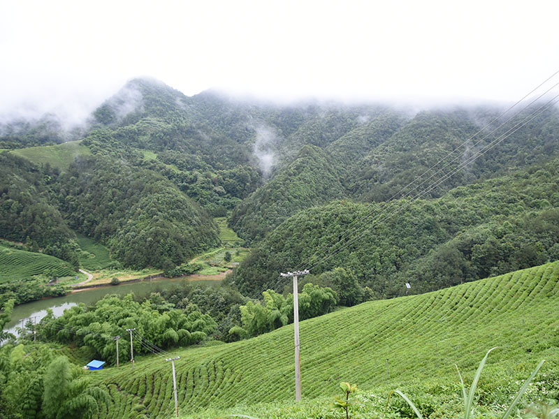 深圳基地照片-13