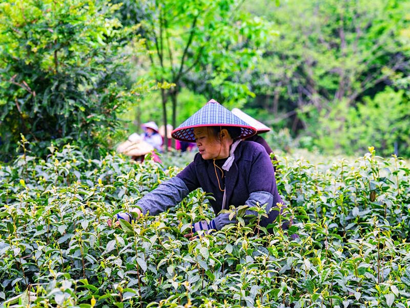 深圳基地照片-01